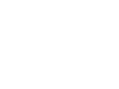 BusGlass